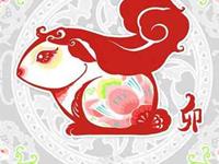 圣诞节送该生肖兔什么礼物