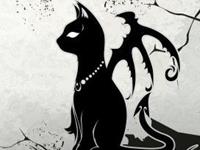 猫石对话2016年1月运势