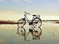 塔罗占卜你有文艺气质吗？