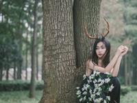 静电鱼2016年狮子座运势