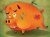 决定生肖猪命运的出生时辰