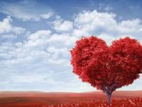 玛丽亚-德西蒙尼十二星座爱情周运（1.4-1.10）