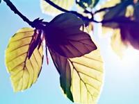 测试你现在的人生态度