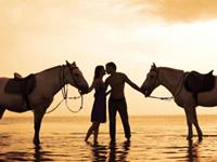 哪些星座的爱情最长久