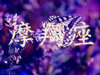 职场中摩羯座拿什么来保护自己