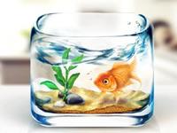 摆放鱼缸也讲究风水气场吗