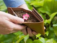 测试你春节破财指数