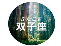 双子座成长道路上会遇到的故事