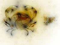 巨蟹座一辈子执意追求的东西