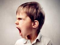 个性冲动的生肖