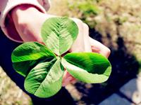 令你财运暴涨的幸运数字及颜色