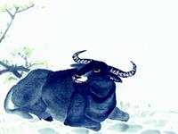 2016属牛人的作为