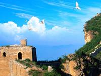 Tracy Lee一周塔罗运势（2.8-2.15）