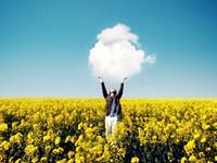 16年考试分数节节高的生肖