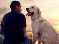 养狗会折寿的生肖