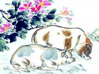 2016属猪人的作为