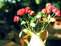 Julia Chen 2016年3月摩羯座运势