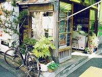 云意三千塔罗占卜2016年3月运势