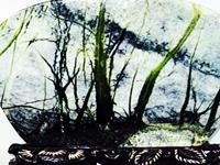 煞气过重，会带来灾祸的物品