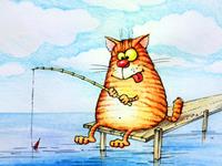 这辈子，500万妥妥的生肖