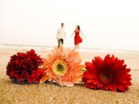 占卜你的爱情会被什么摧毁？