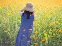 乐城2016年十二星座年度运势