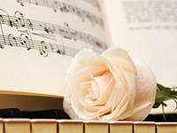 12星座男会如何对待备胎