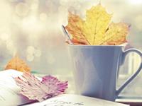 恋爱中容易患有强迫症的星座