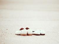 有相伴一生的觉悟的星座