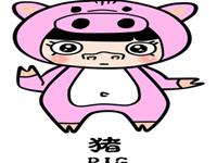 12生肖的老公类型——猪