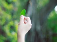 云意三千塔罗占卜2016年4月运势