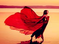 和处女座一样堪称完美的生肖女