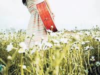 这些生肖女最没有脾气