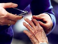 12生肖中的4大孝子