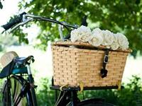 测试你最适合哪种生活节奏