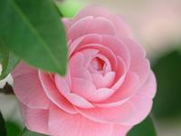 哪些星座五月份要加倍注意