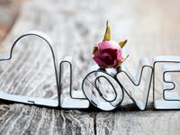 拥有高恋商的星座揭秘