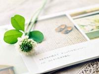 将来必分道扬镳的生肖情侣