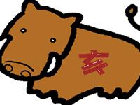 12生肖会选友情or爱情—猪