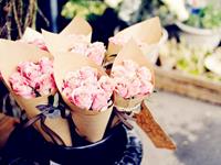 测试你在爱情中会勇敢说爱吗