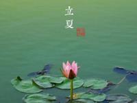 立夏节气风水宜忌