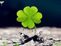 塔罗占卜你的Lucky指数