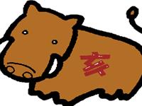 生肖猪错怪人后会怎样