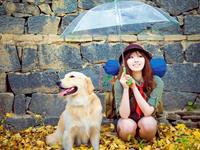 塔罗占卜你怎样才能更开心更顺利