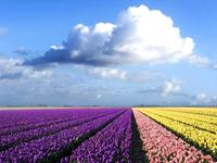 占卜现在是你跳槽的好时机吗