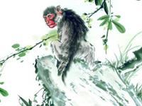 1968年属猴的人2017年运程