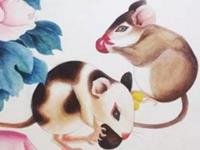 1996年属鼠的人2017年运程