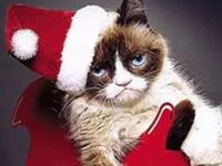 占卜你的心灵需要怎样的疗愈能量