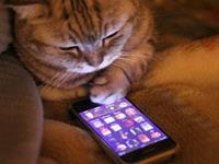 这些星座离开手机就活不了