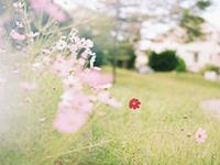 从紫微流年命宫看你的有灾之年